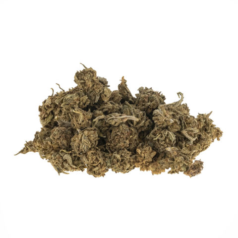 CBD-gras-R2D2-baby-buds_haufen_web