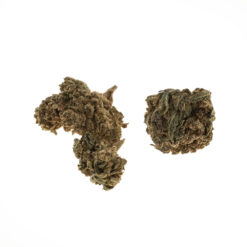 CBD-gras-hazelnut-baby-buds_web