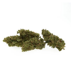 gras-CBD-premium-skywalkter-OG_#2-kl-haufen_web