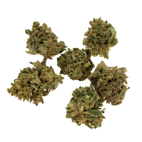 gras-cbd-cannatonic-babybuds-eu_web