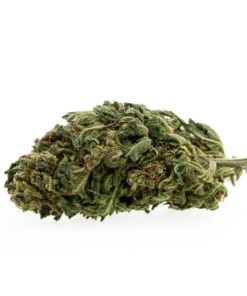 gras-cbd-premium-pinapple-chunk-eu_1_web