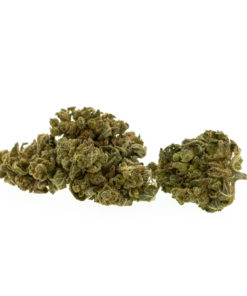 gras-cbd-premium-sweet-melon_web